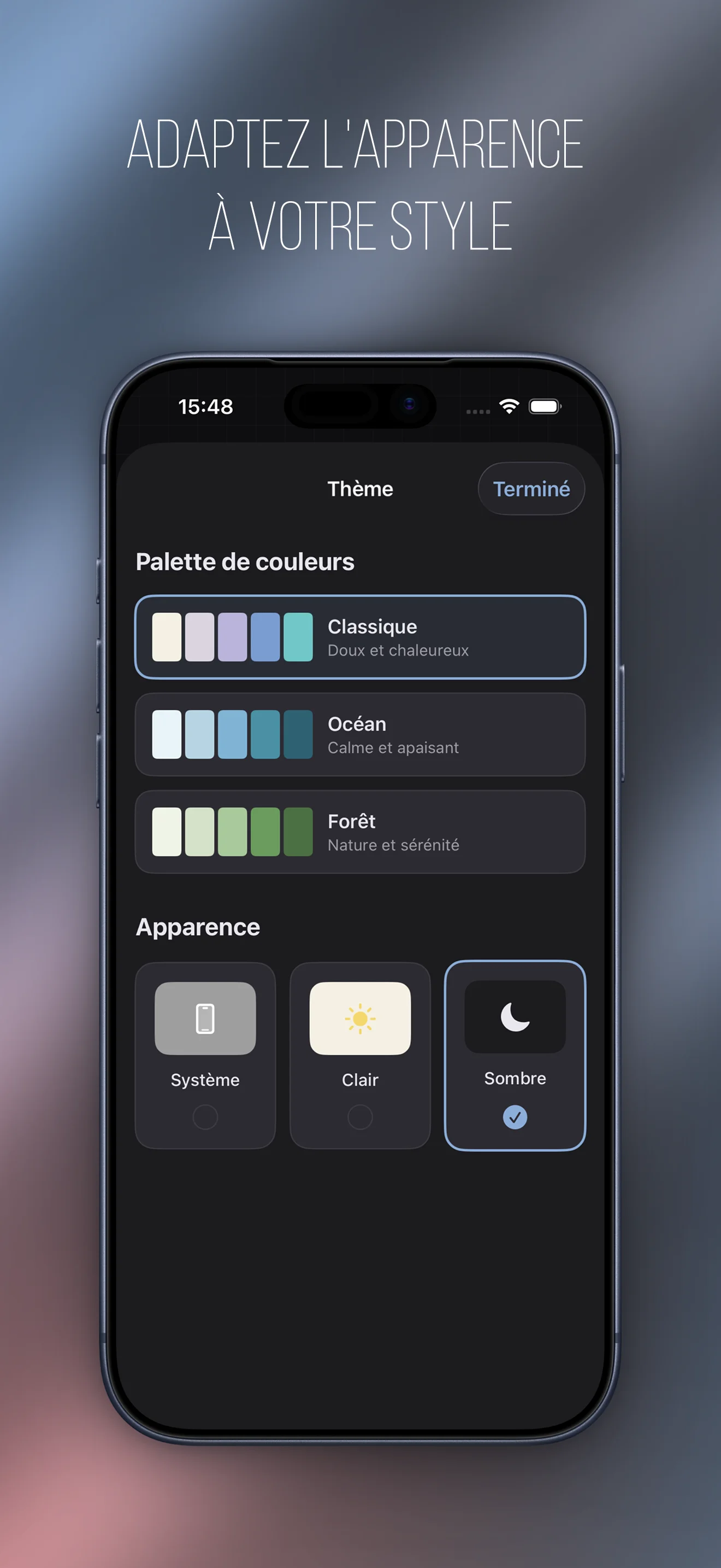 Thèmes personnalisés
